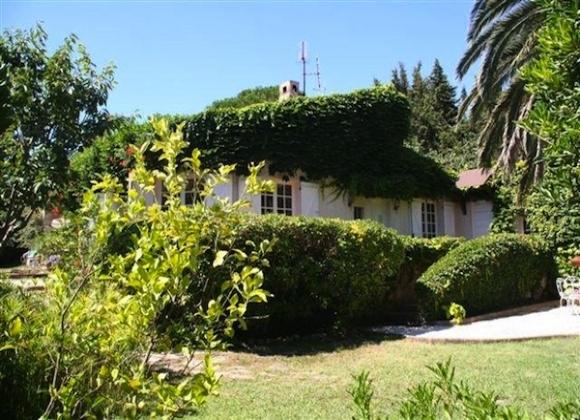 Rent Villa Birgit in St Tropez - garden