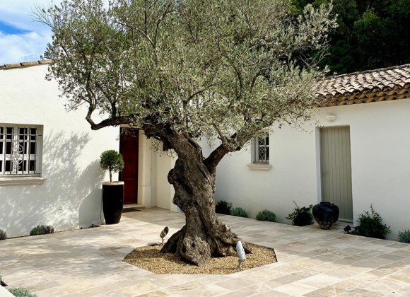 villa for rent lola st tropez la belle isnarde outdoors