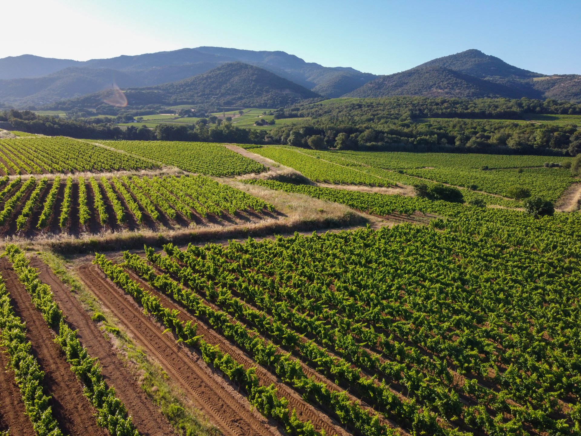 villas_near_vineyards_saint_tropez