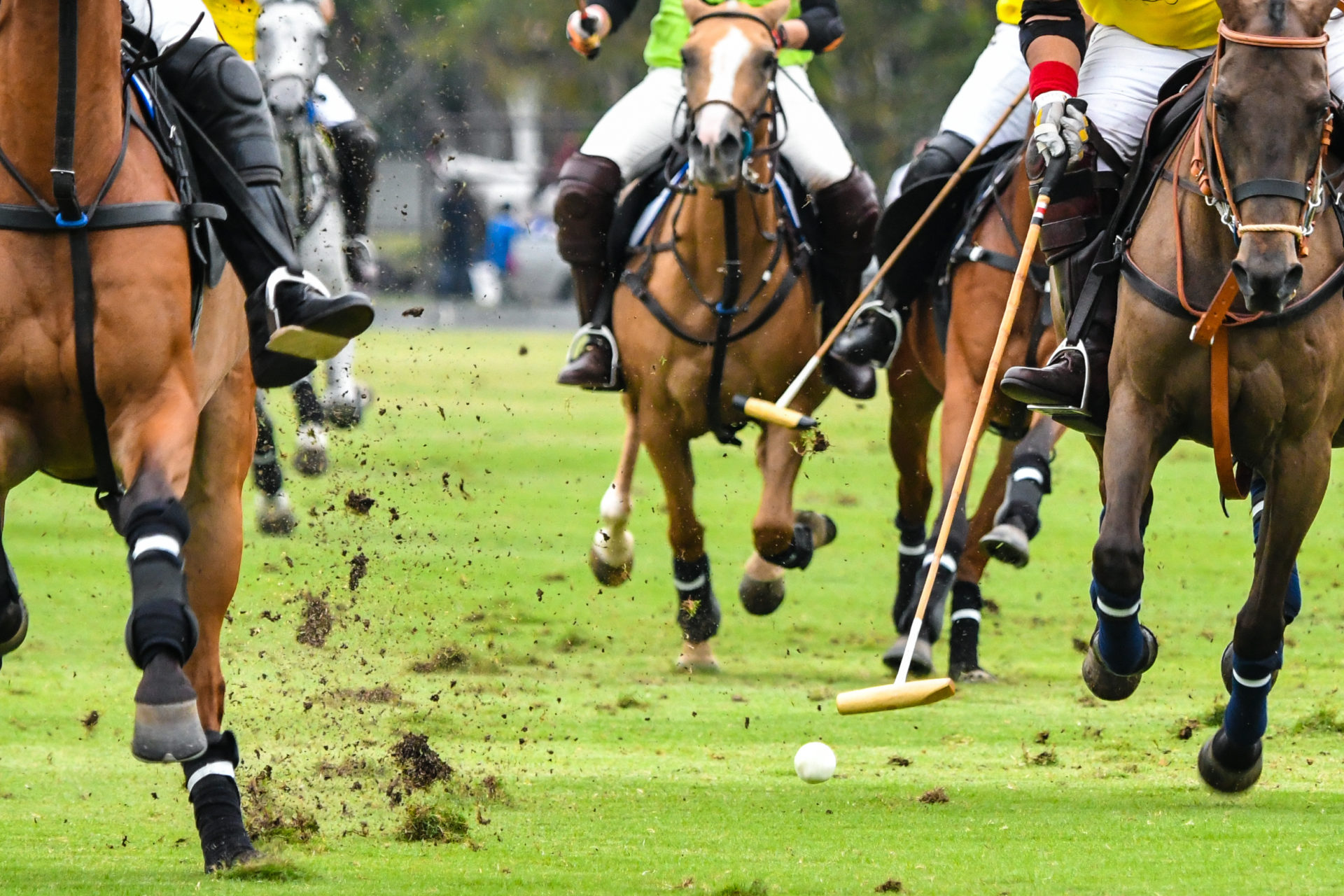 villas_polo_club_st_tropez