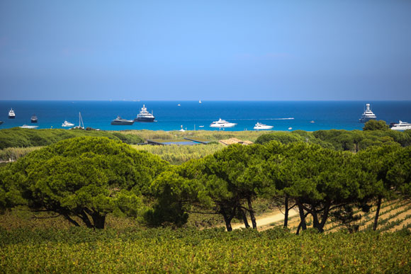 renovating to rent st tropez bay buying property